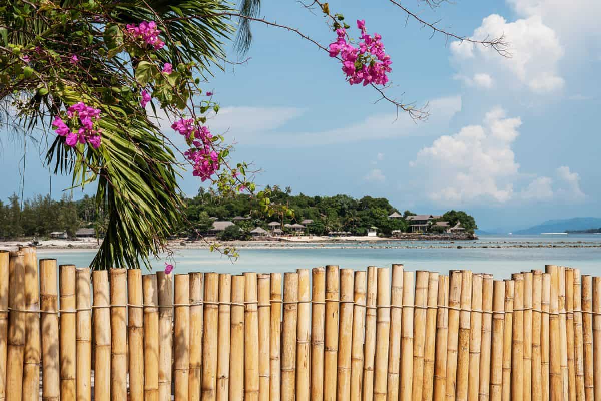 Bamboo fence in tropics. Beautiful landscape with sea view.
