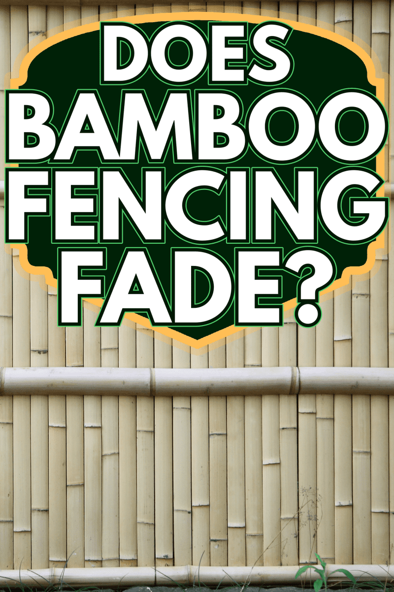Bamboo wall texture - Does Bamboo Fencing Fade