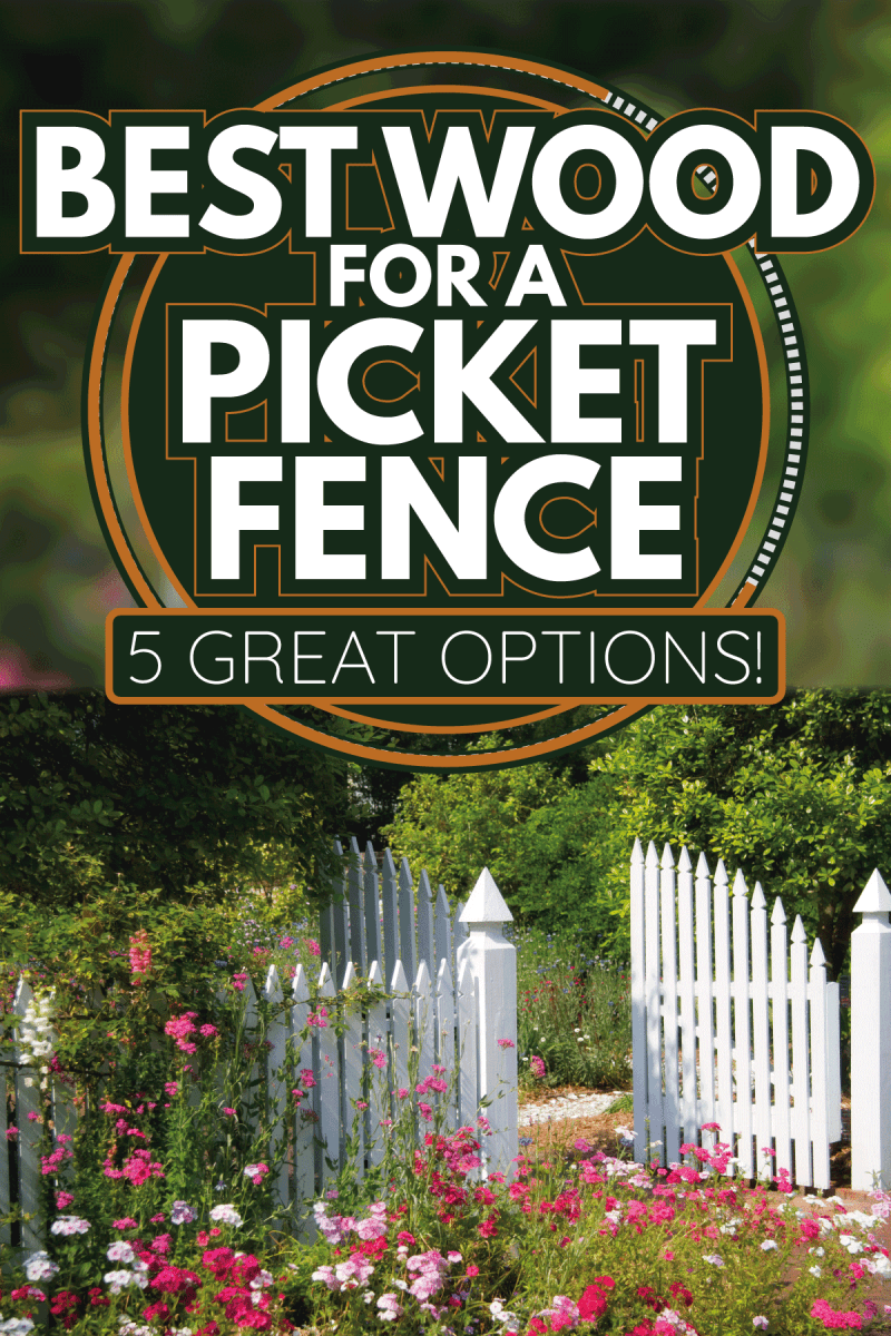 Beautiful Garden with open white gate. Best Wood For A Picket Fence [5 Great Options!]