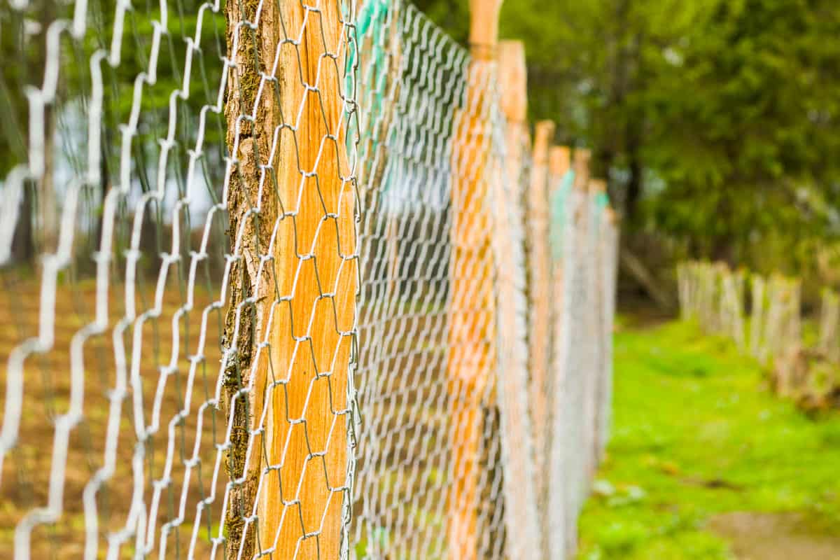 Chainlink real fence close-up and texture