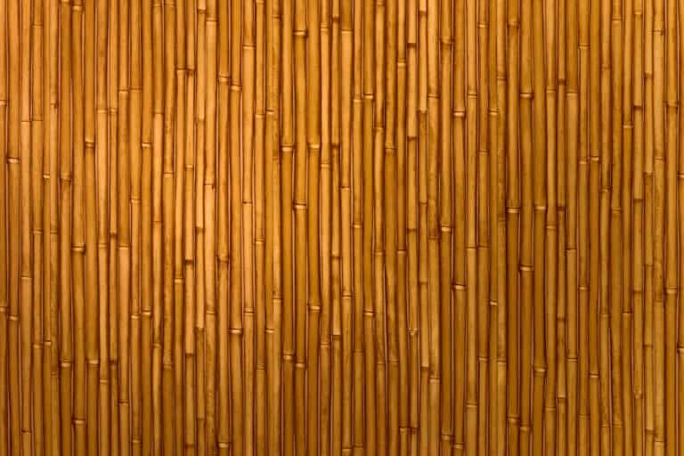 Gorgeous bamboo perfect for fencing, Can You Varnish Bamboo Fencing - And How To?
