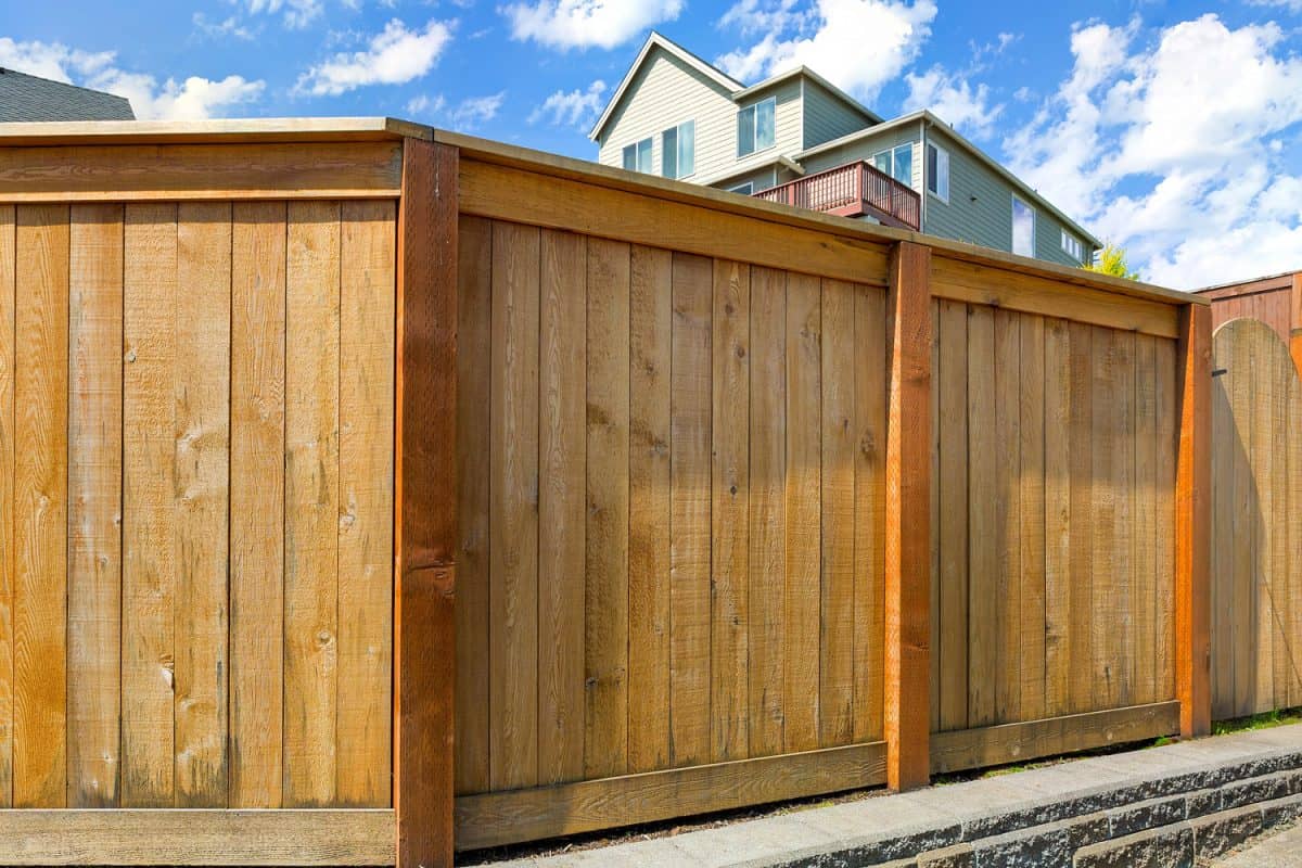 House backyard new wood fence with gate door in suburban residential neighborhood

