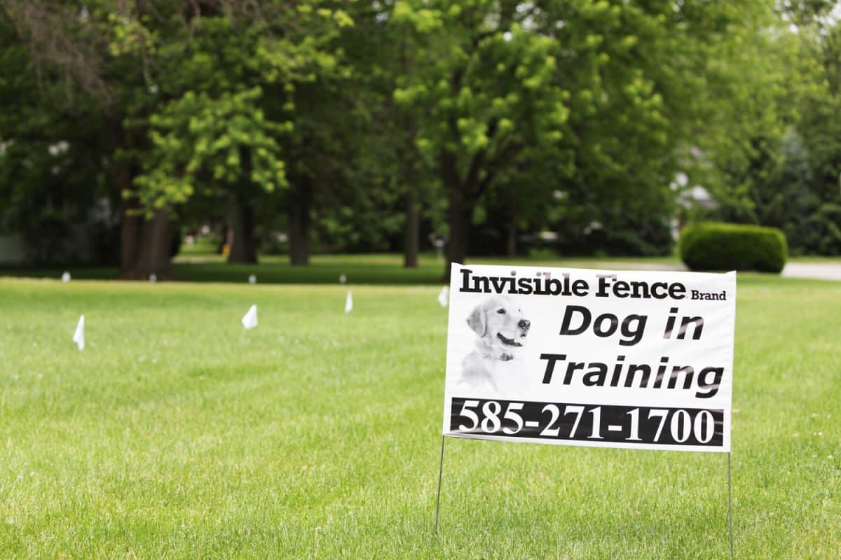 Invisible Fence Brand Dog In Training Lawn Placard Sign 