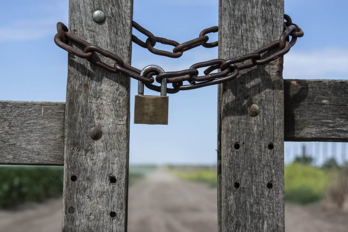 Padlock and chain in a farm gate

