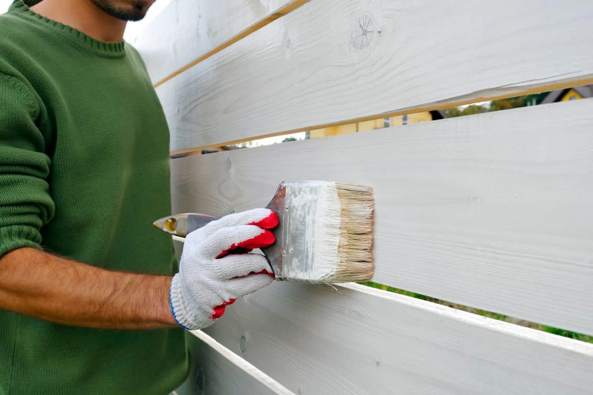 Renovation of the wooden fence. Close-up of man painting with brush wooden fence on white color, after winter.

