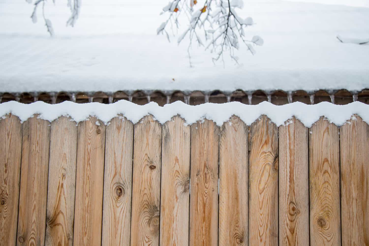 Snow on fence.
