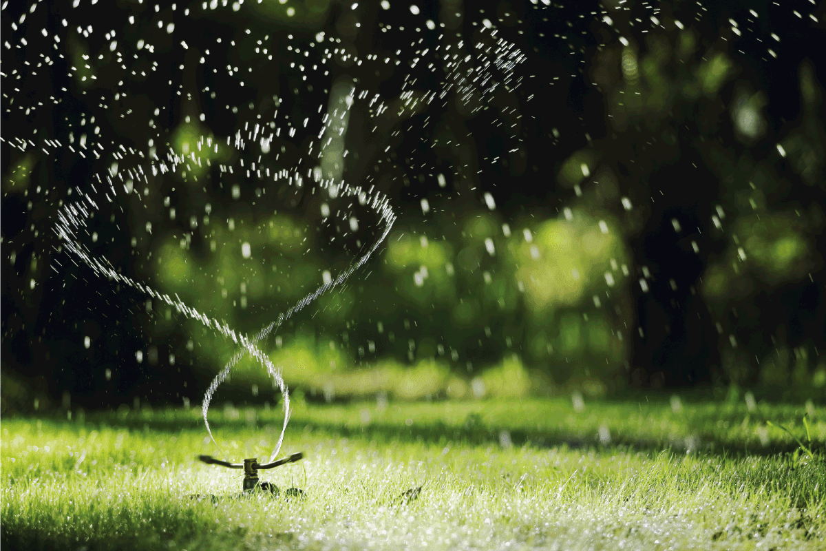 Sprinkler head sprinkles water on grass. Sprinkler Hitting Fence - Is That A Problem