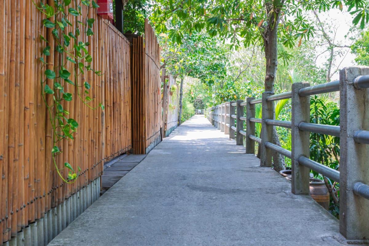 Way for walking or cycling there are bamboo walls and fences in the garden.
