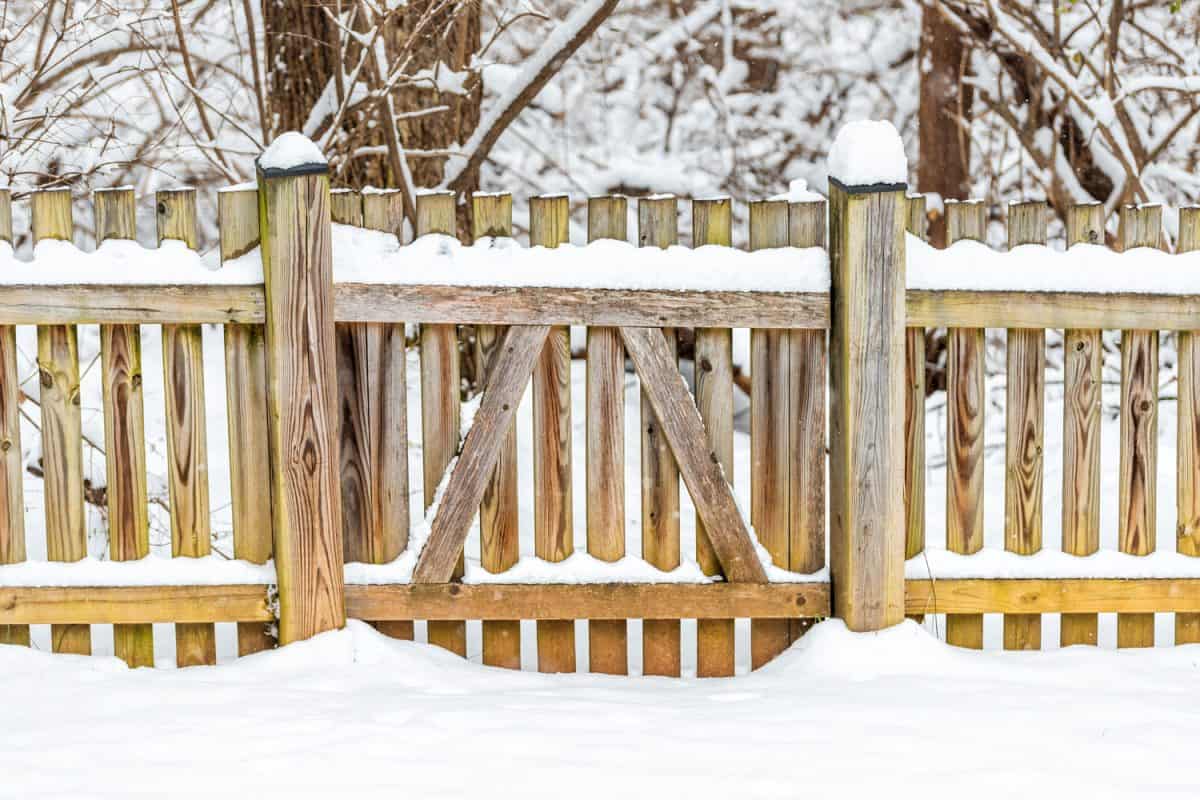 Wooden fence gate locked covered in white snow after heavy snowing snowstorm storm by house home with forest trees bushes