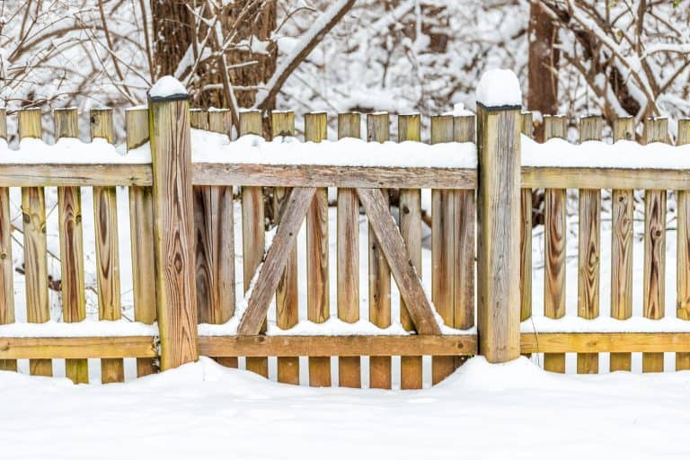 Wooden fence gate locked covered in white snow after heavy snowing snowstorm storm by house home with forest trees bushes - Is Snow Fence Recyclable [And How To Dispose Of It]