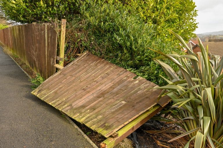 Wooden garden fence destroyed by the strong winds of a winter storm, Should A Fence Move In The Wind?