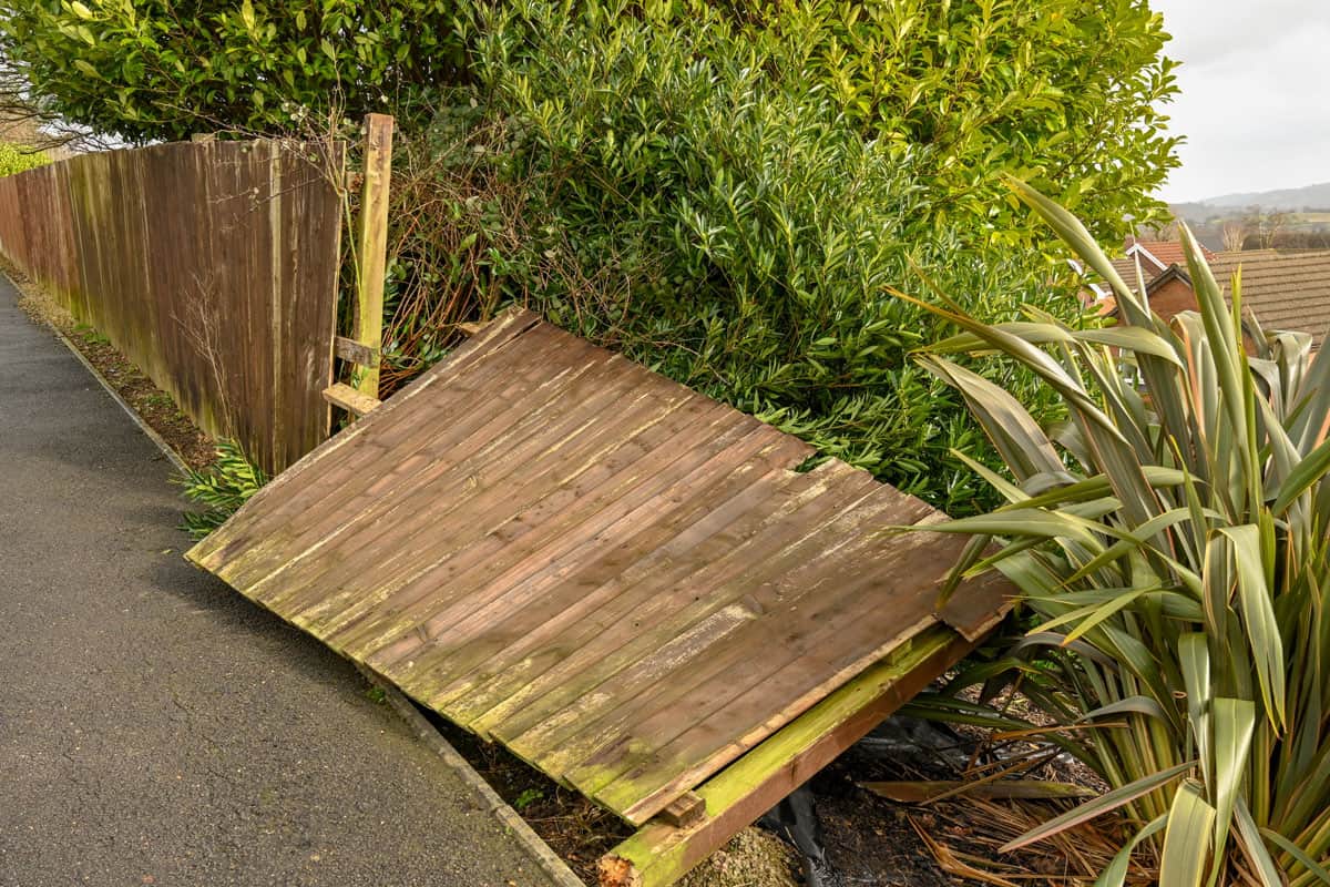 Wooden garden fence destroyed by the strong winds of a winter storm