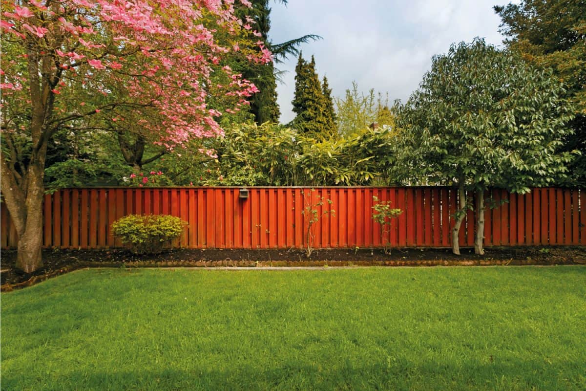 fenced yard using double walled wooden fence painted in red