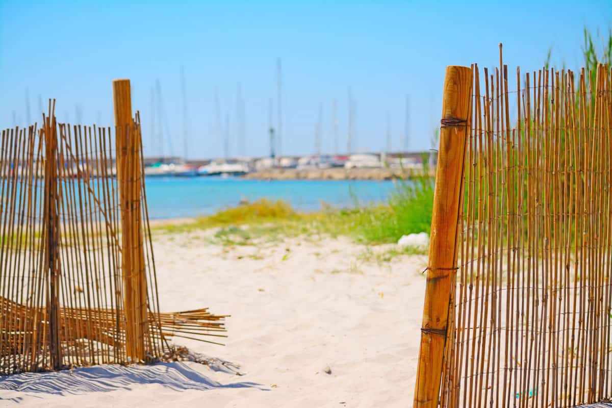 reeds fence at beach entrance