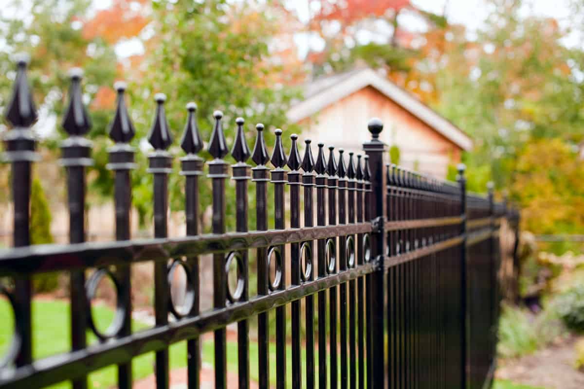 rod iron fence in a back yard