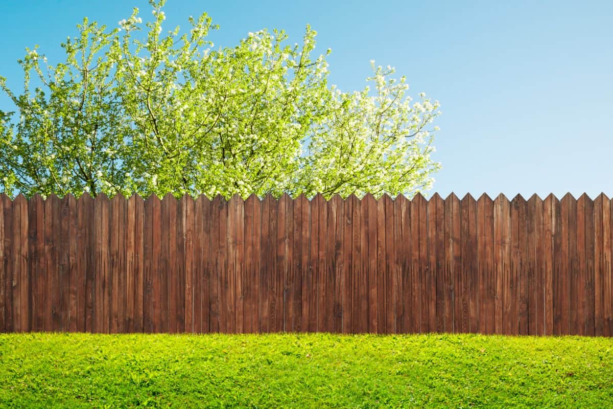 landscaped yard with wooden fence