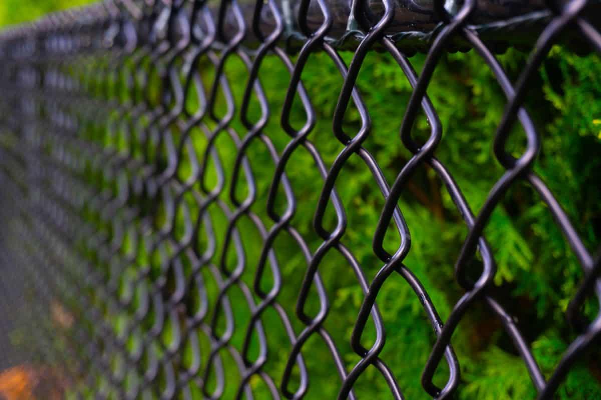 A black chain link fence photographed from a creative perspective to give the image depth.

