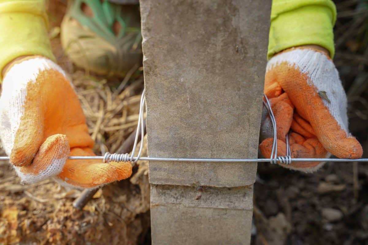 Agriculture farmers wear gloves work by hand installation of wire fences