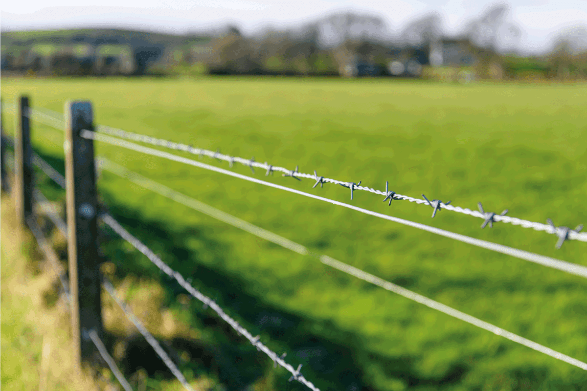 Barbed wire fence at a field