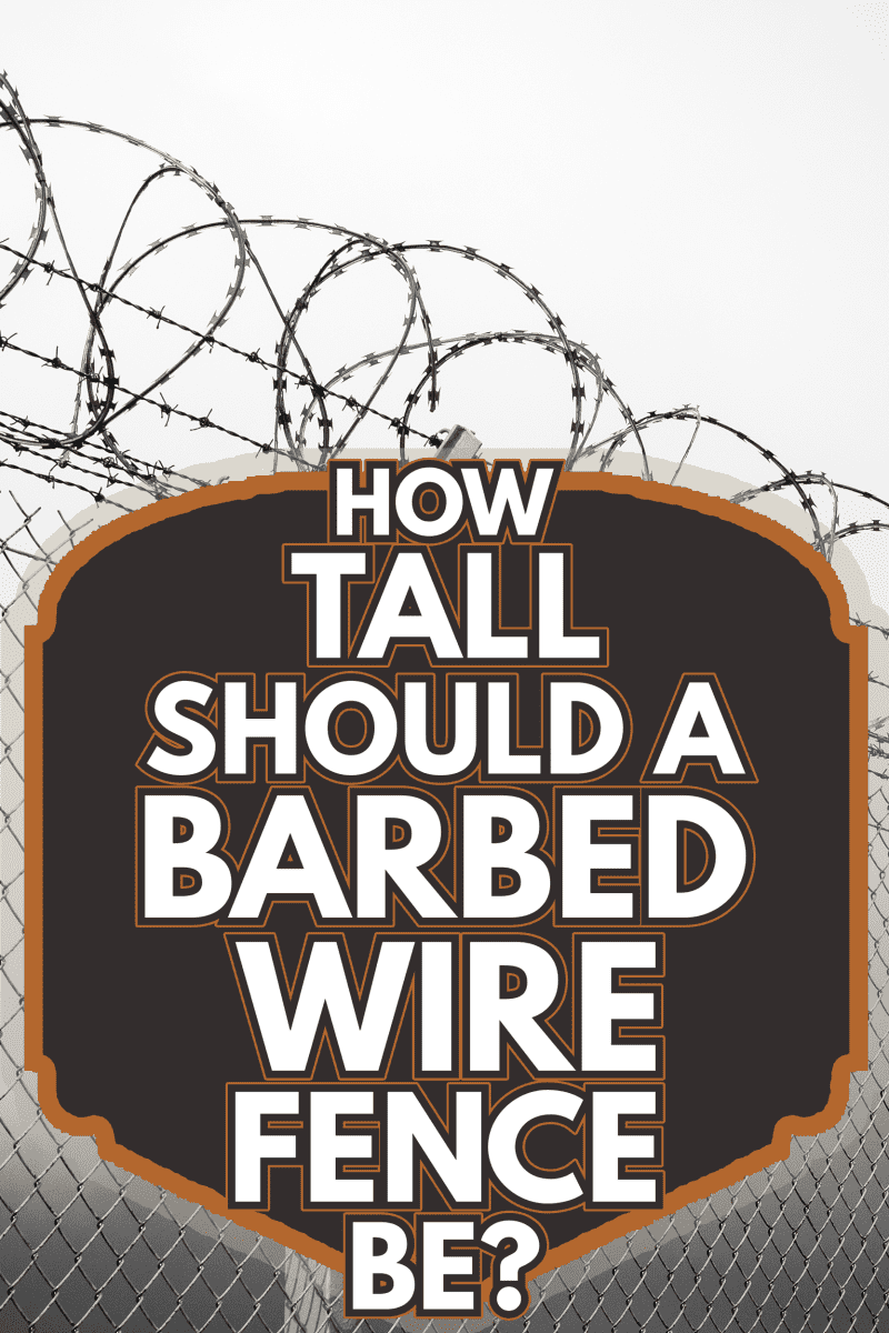 Barbed wire - restricted area, black and white - How Tall Should A Barbed Wire Fence Be
