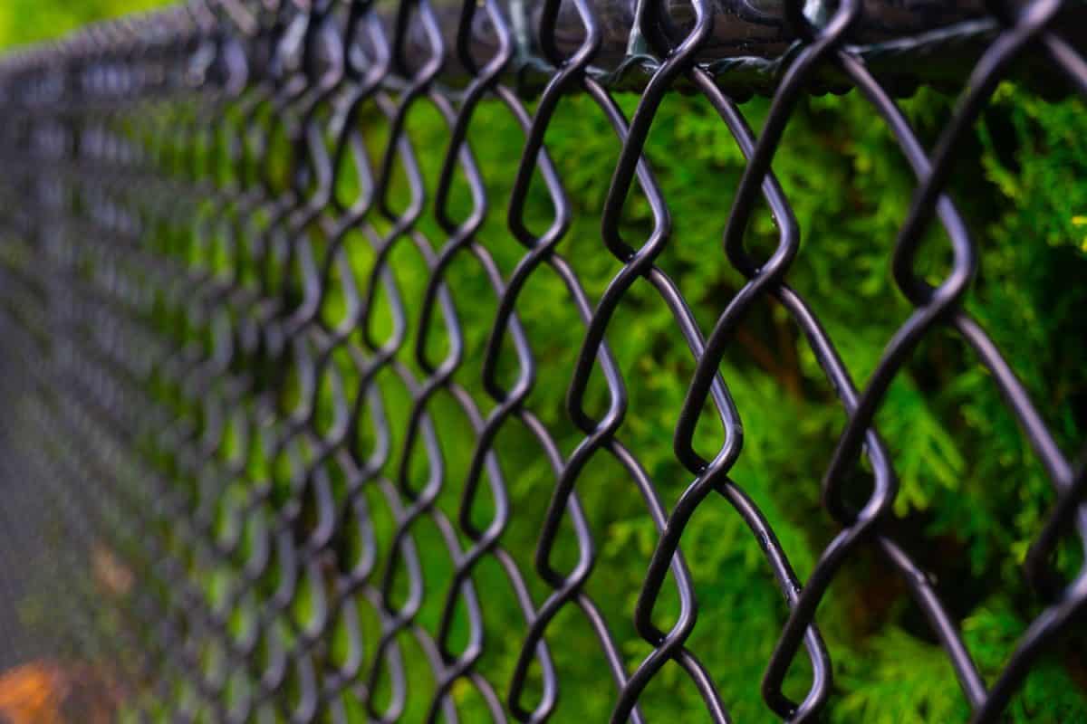 Black powder coated chain link fences for the garden