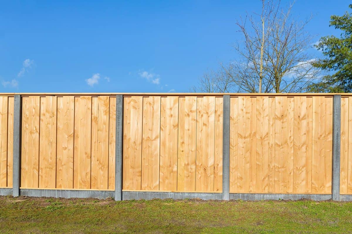 Built new horizontal wooden fence construction in dutch backyard
