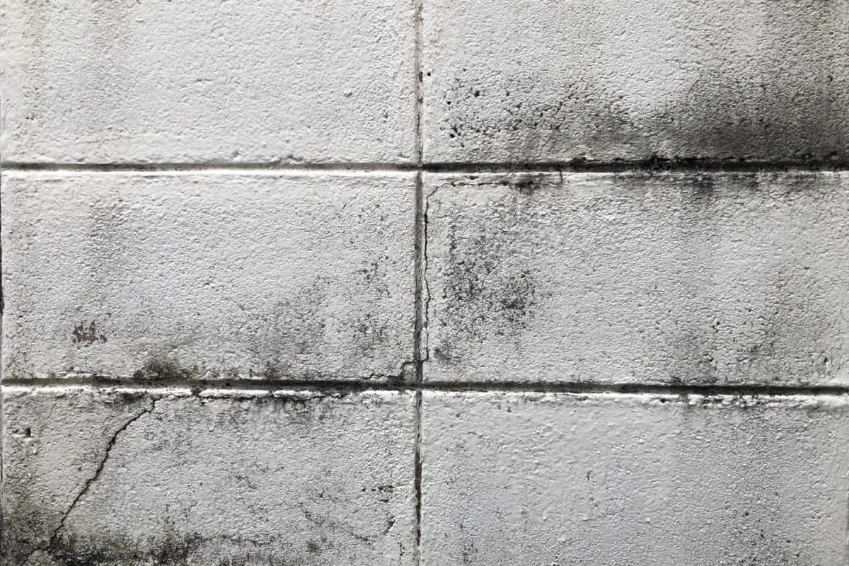 Concrete block wall with black mold or black stains on concrete. Black and white weathered outdoor wall fence surface for background and texture.