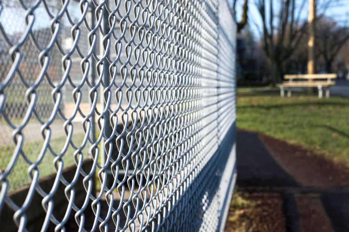 Chain link fence for a baseball field