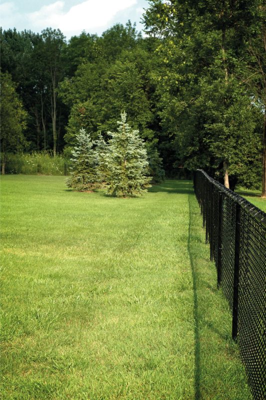 Color photo of green grass and trees with a black chainlink fence defining the property boundaries. Focus is on front of fence.