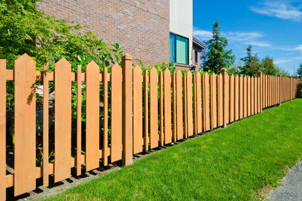 County style long wooden cedar yellow fence.
