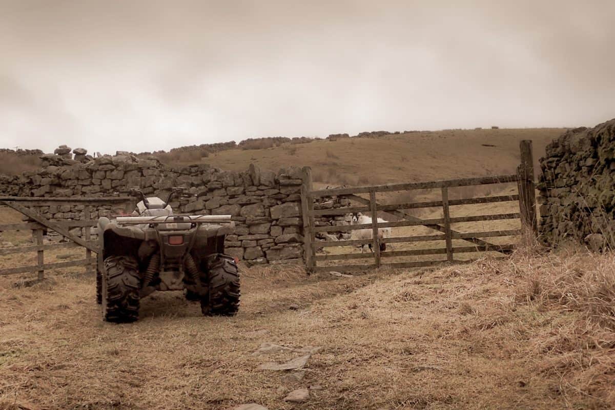Cumbrian sheep farm in winter with an overcast wintry sky.

