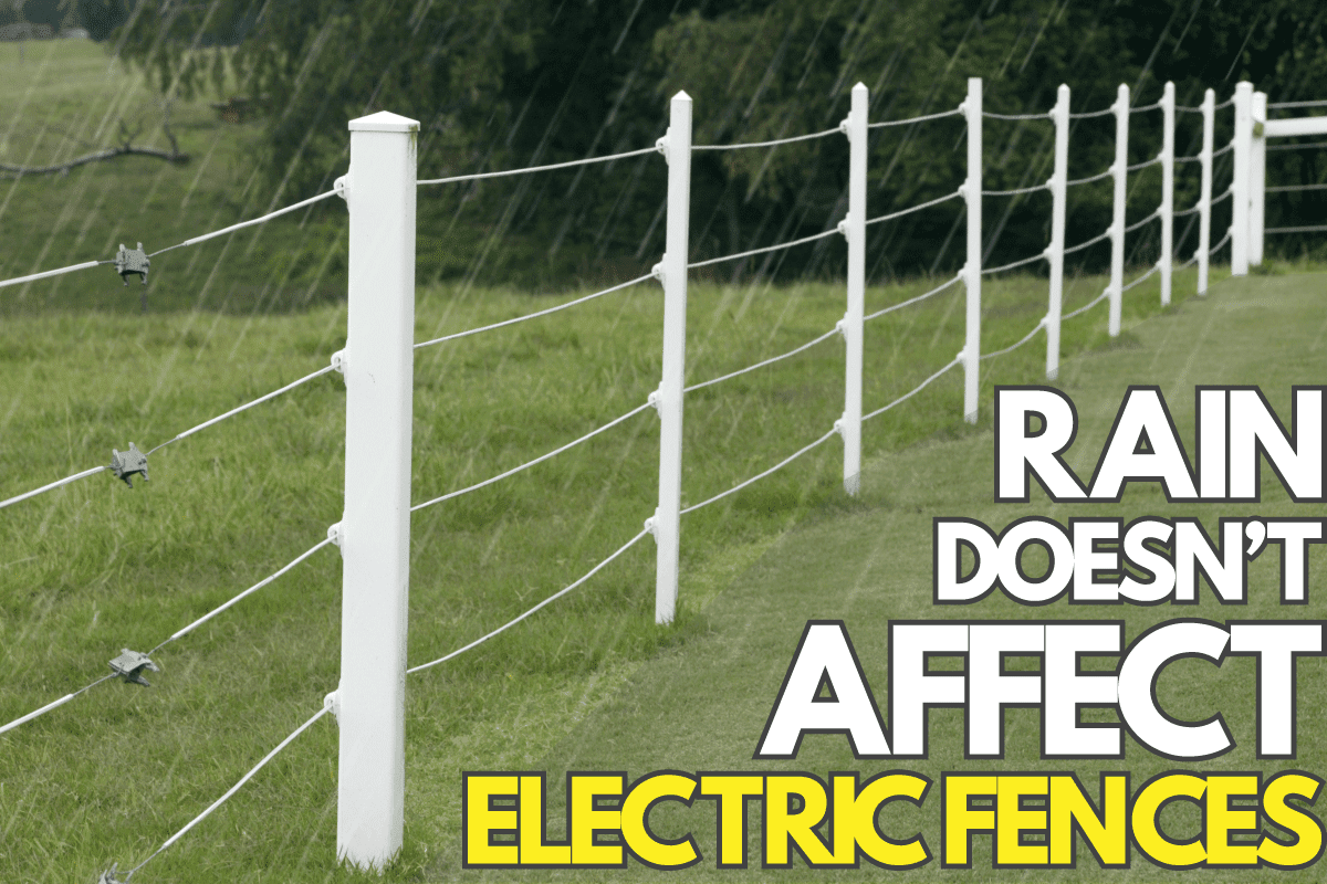 Electric Fence, Does Rain Affect Electric Fences?