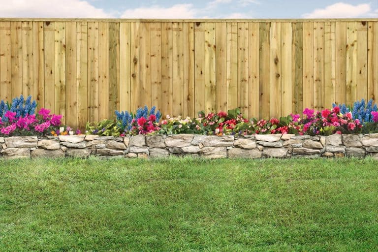 An empty backyard with green grass, wood fence and flowerbed, How Long Does A Pine Wood Fence Last?