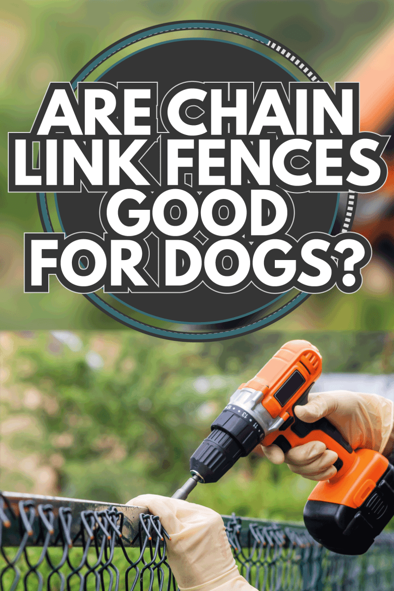 Fastening the metal mesh of the chain-link with a drill-screwdriver. Are Chain Link Fences Good For Dogs