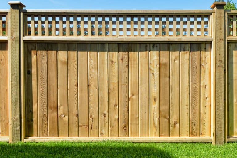 A fence panel placed in a yard for safety, What To Put Between Fence And Soil?