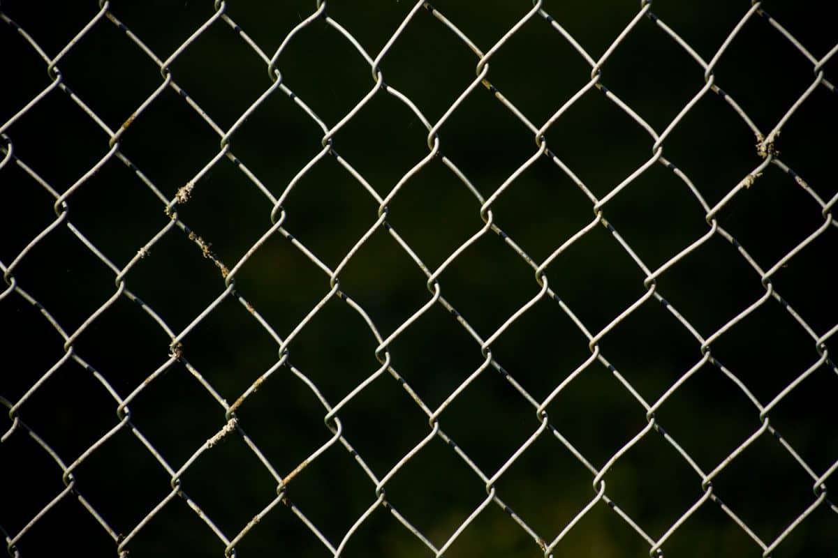 Full frame view of wire fence brightly lit, black background.

