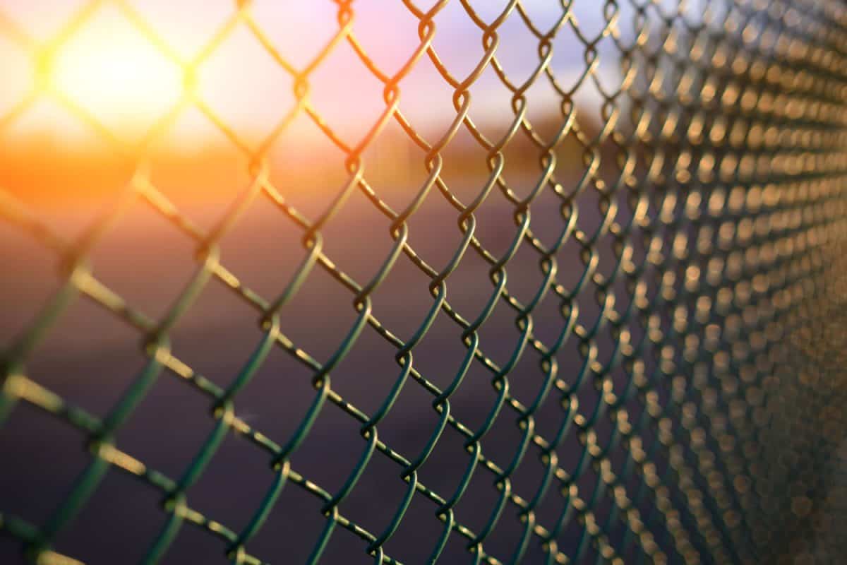 Green powder coated chain link fence