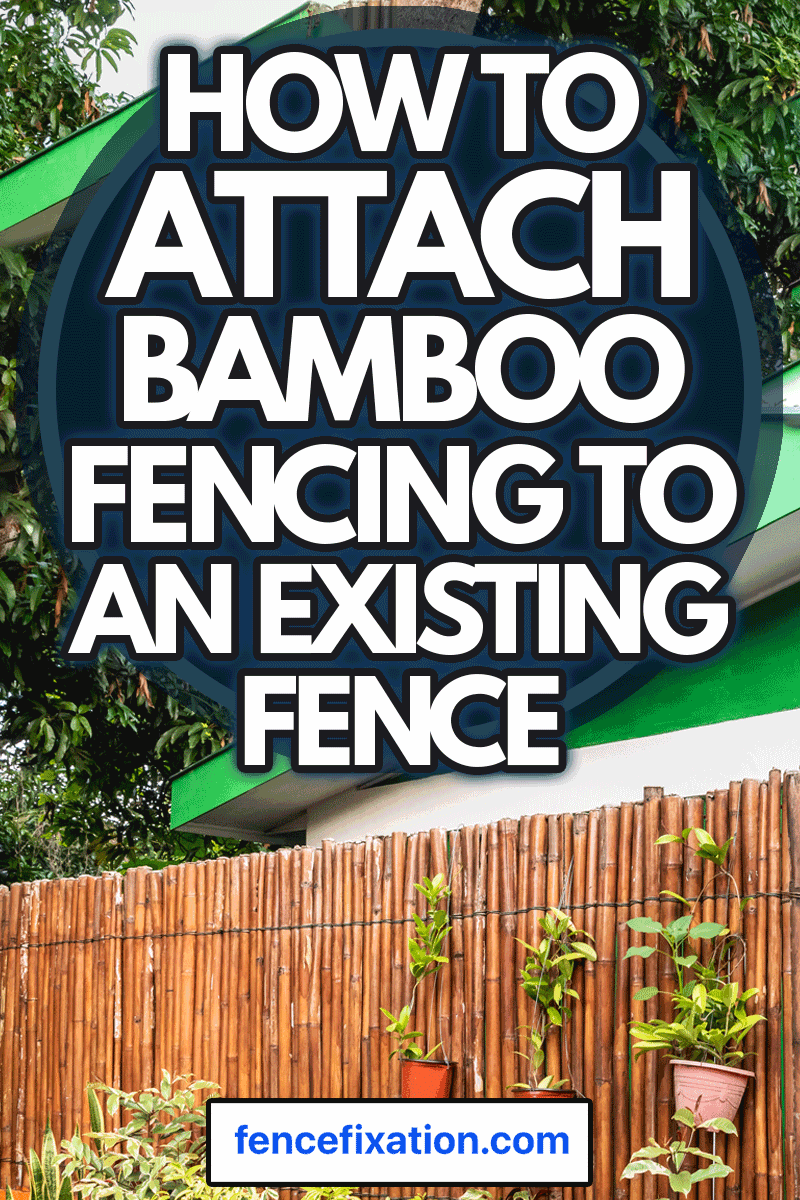 Green house with a bamboo fence and plants, How To Attach Bamboo Fencing To An Existing Fence