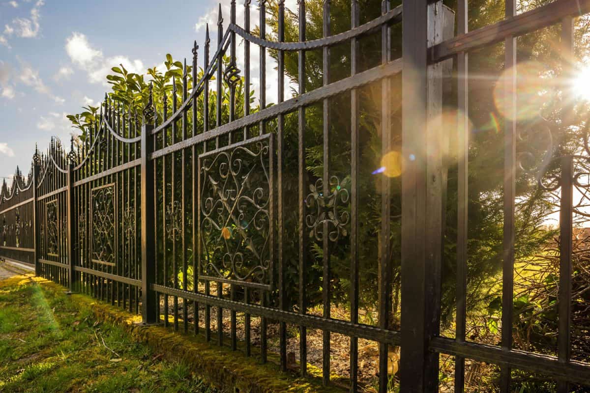 Huge customized wrought iron fences