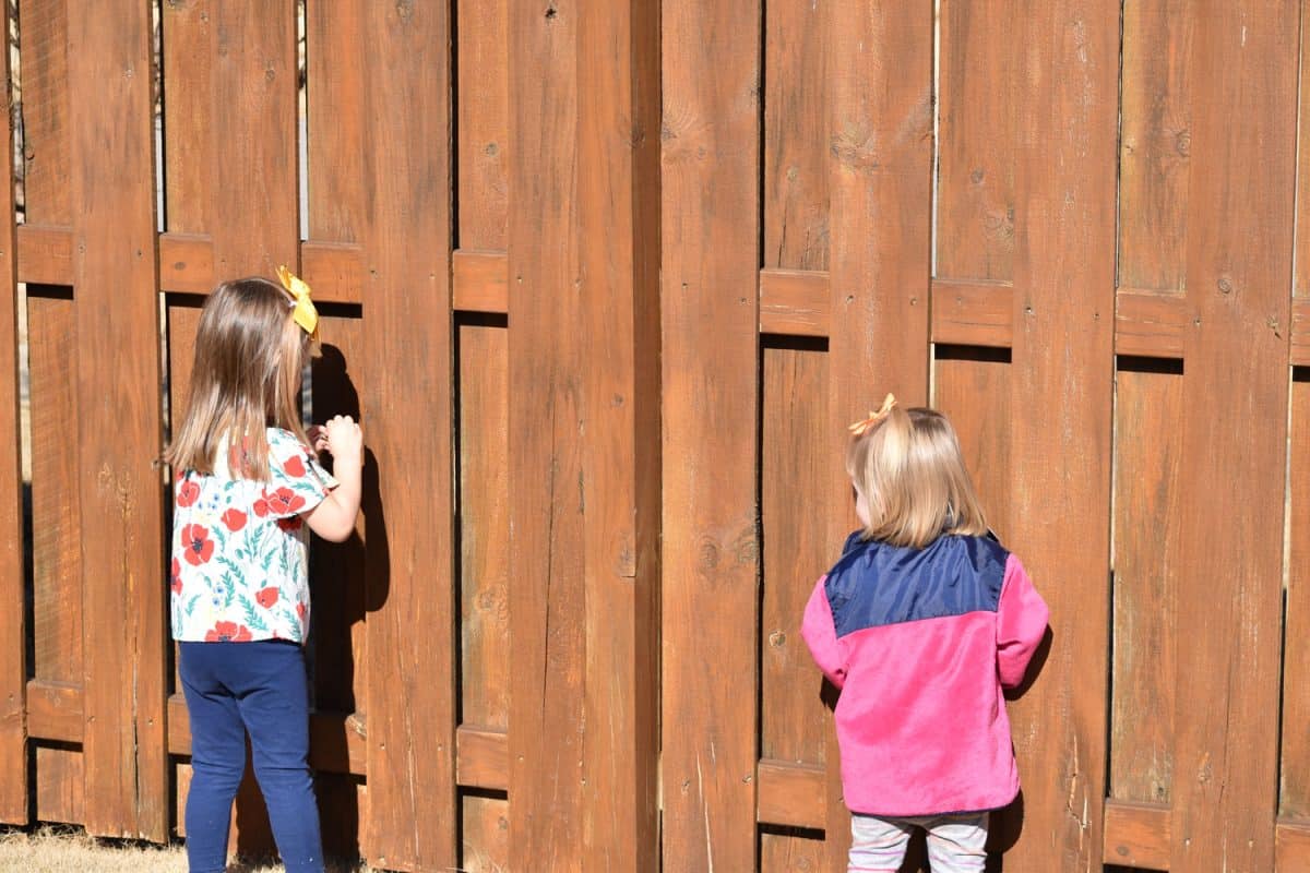 Kids peeping on the gaps of the fences