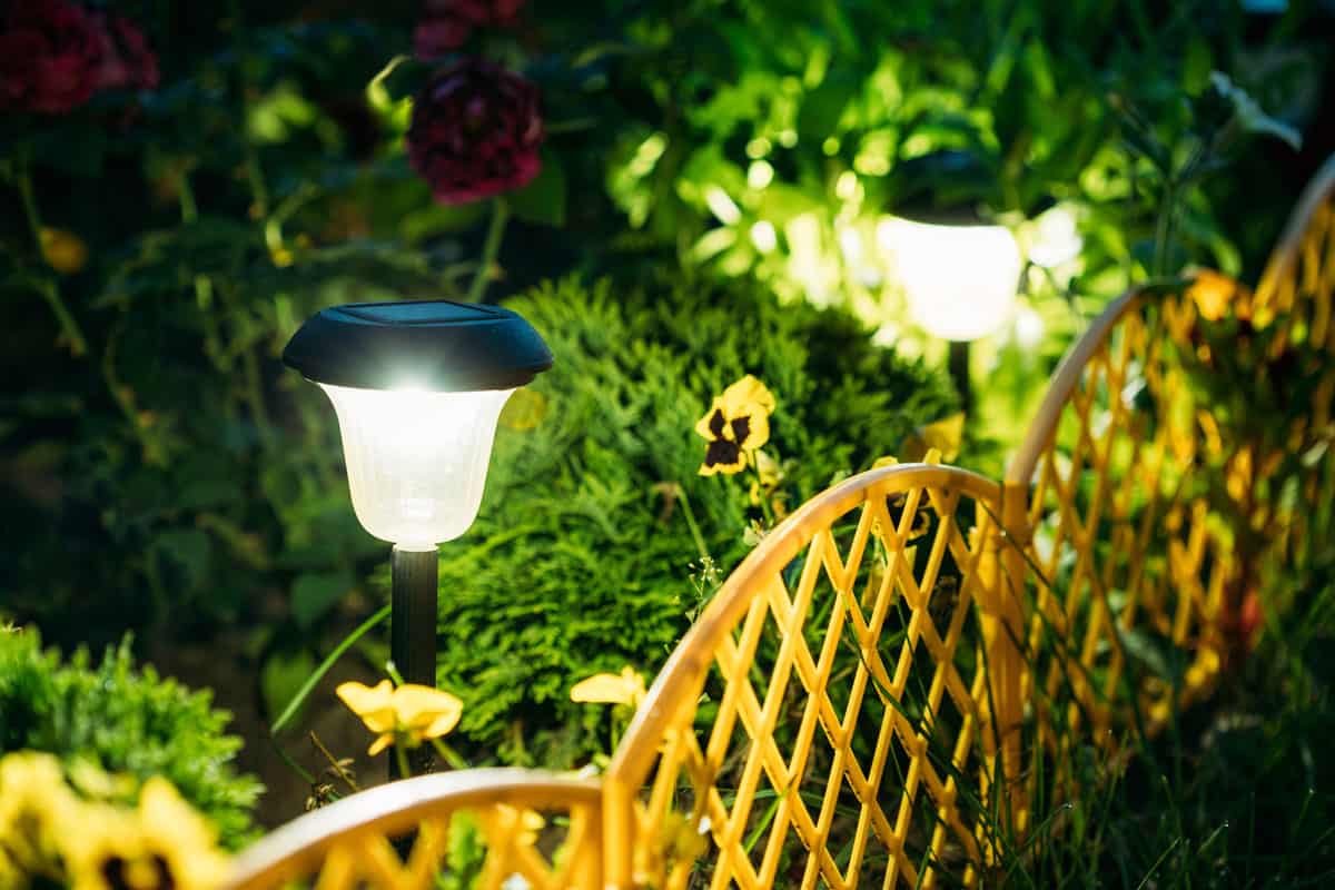 Lanterns In Flower Bed In Green Foliage. Garden Design. Solar Powered Lamp