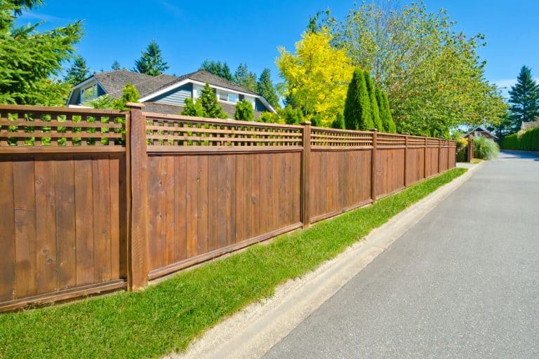 Long wooden cedar fence on the empty street, Should Fence Posts Be Pressure Treated? [And How To Prevent Rotting]