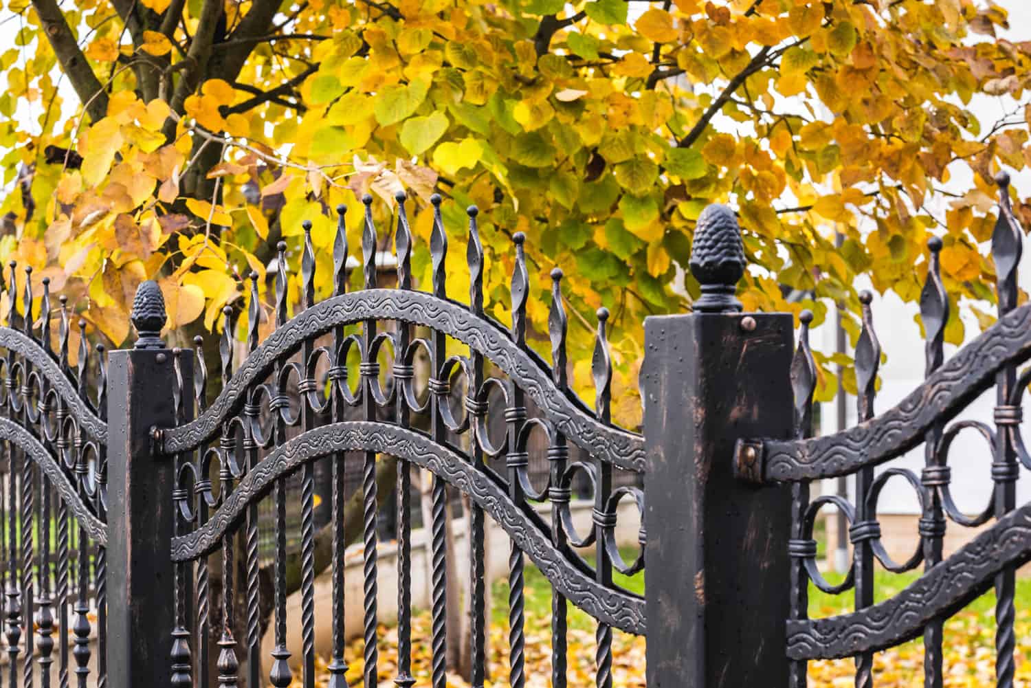 Metal fence in autumn