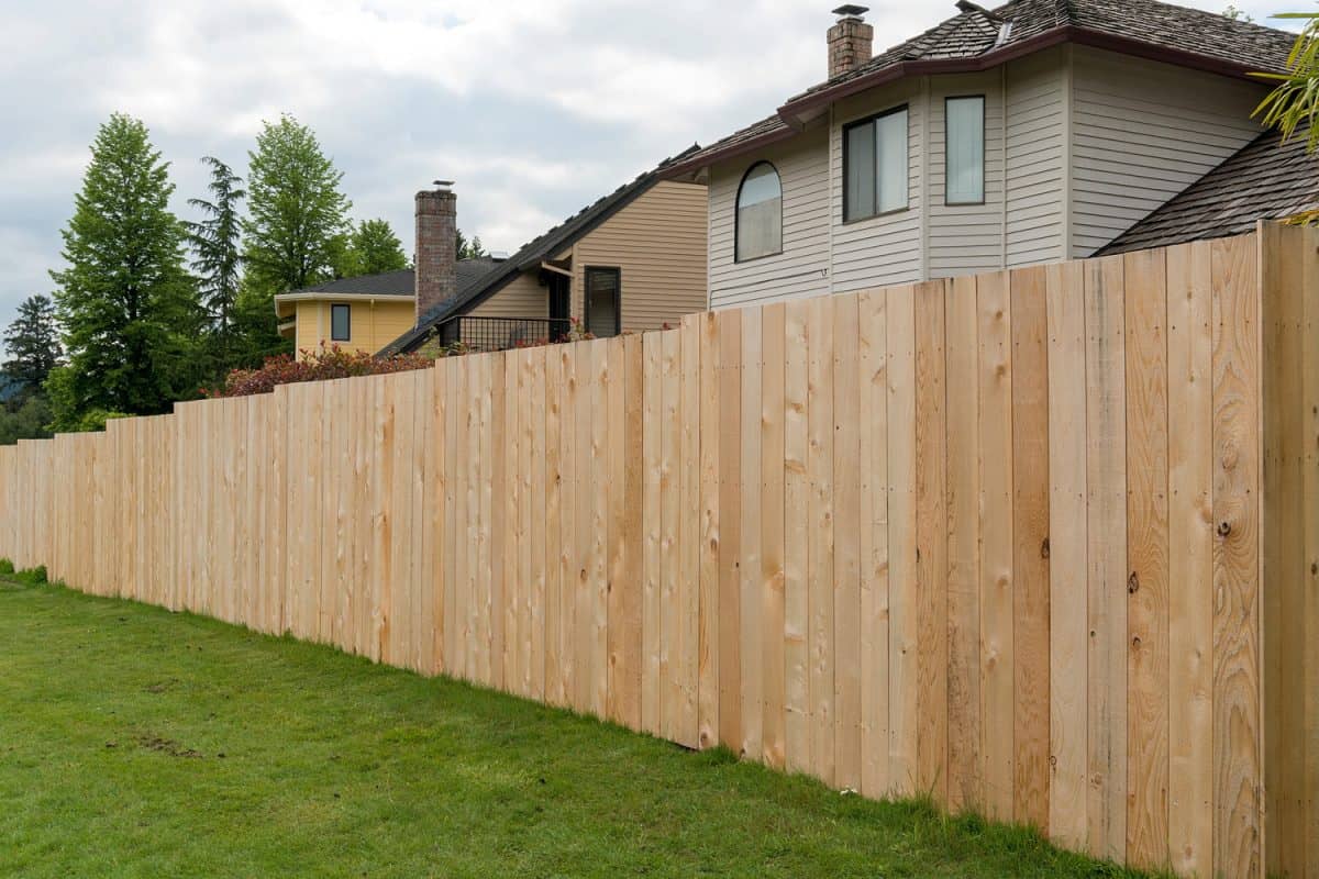 New Cedar wood fence boards along garden backyard of homes in suburban neighborhood
