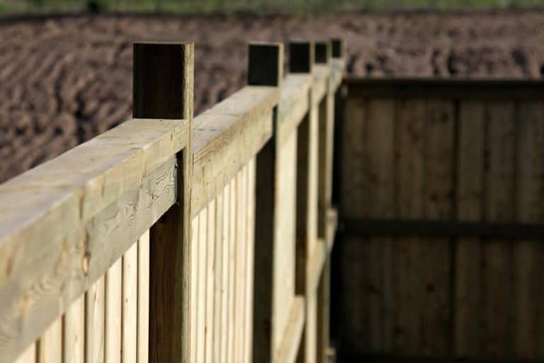 A new fence under construction, Are Fence Posts Typically Pressure Treated?
