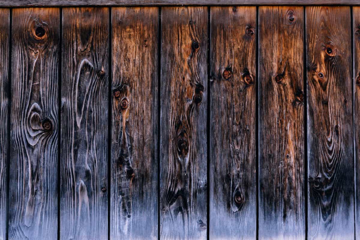 Old wood texture background. Rustic wooden plank from oak tree. Hardwood banner layout.