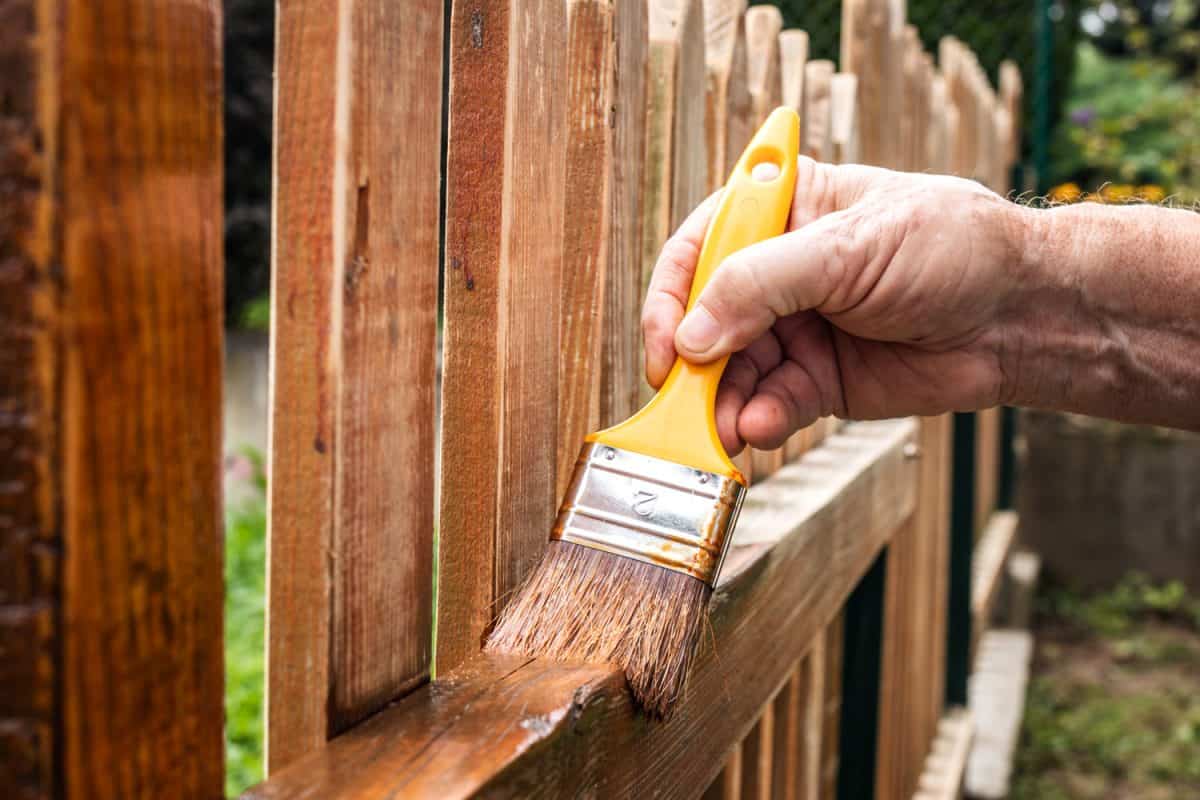 Painting wooden fence at backyard. Paintbrush in male hand. Renovation of wood picket fence.