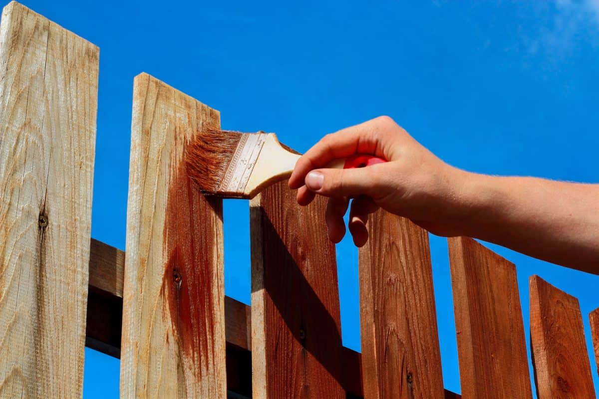 Painting wooden fence with brown paint
