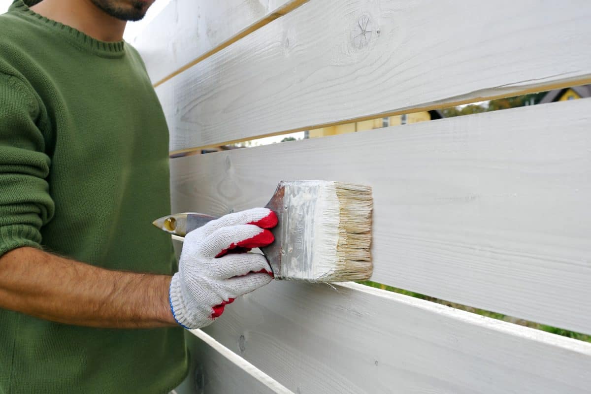 Renovation of the wooden fence. Close-up of man painting with brush wooden fence on white color, after winter.

