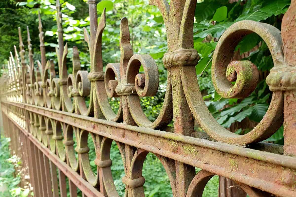 Rusted wrought iron fence due to weather conditions and the likes